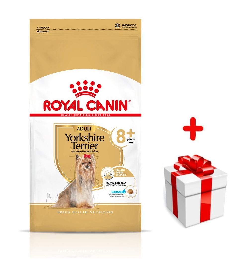 ROYAL CANIN Yorkshire Terrier Adult 8+ 500g- karma sucha dla dojrzałych psów rasy yorkshire terrier, powyżej 8 roku życia + niespodzianka dla psa GRATIS