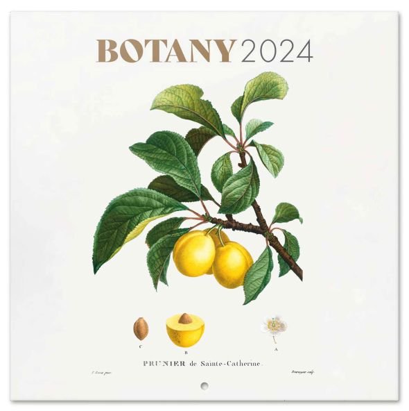 Botanika - kalendarz 2024