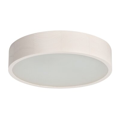 Kanlux Jasmin D37,5 plafon 2-punktowy Biały dąb 370-W 23124