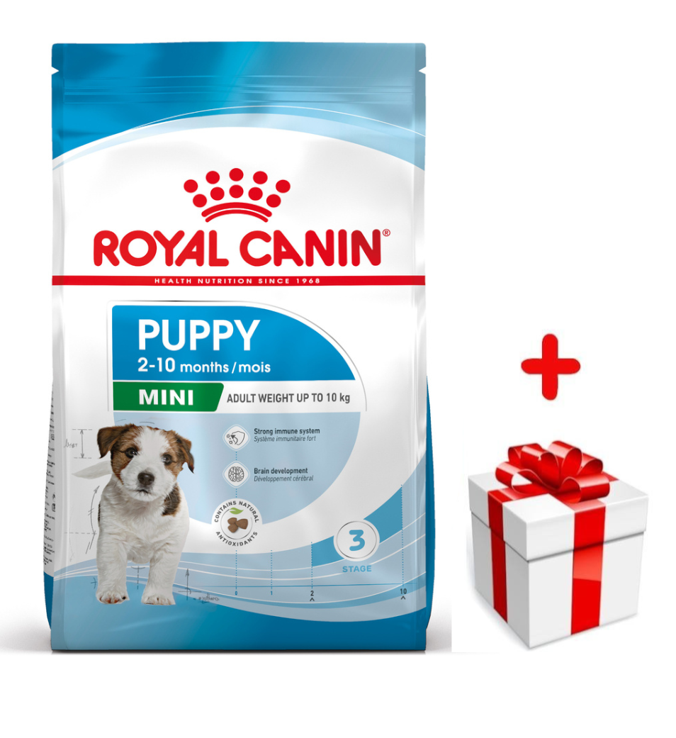 ROYAL CANIN Mini Puppy 2kg karma sucha dla szczeniąt, od 2 do 10 miesiąca życia, ras małych