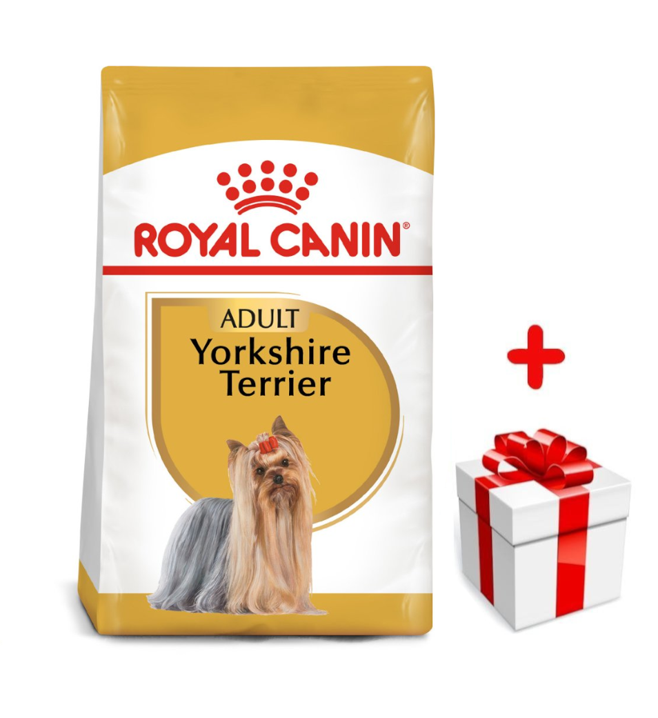 ROYAL CANIN Yorkshire Terrier Adult 1,5kg karma sucha dla psów dorosłych rasy yorkshire terrier