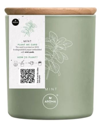 MTM, Aroma Garden, Naturalna świeca zapachowa Fresh Herbs Mint, 150 g