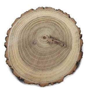 Plaster drewna Akacja szlifowana 12-14 cm / 2 cm