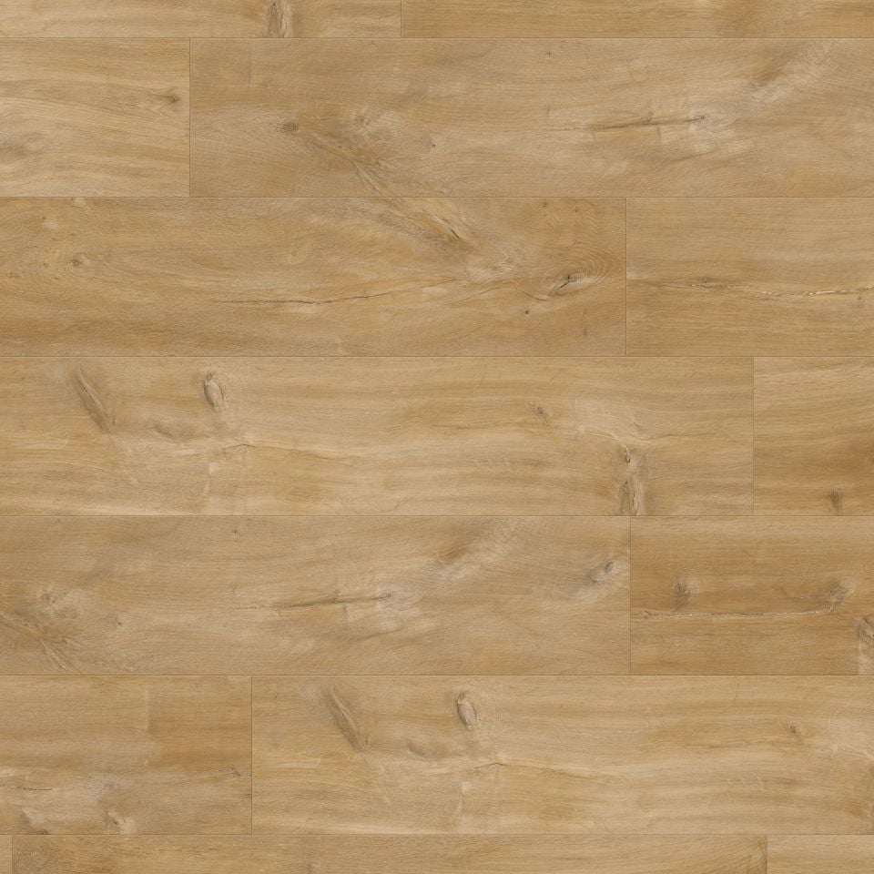 Lvt Click Alpha Vinyl Avspu40039 Dab Canyon Naturalny Pad