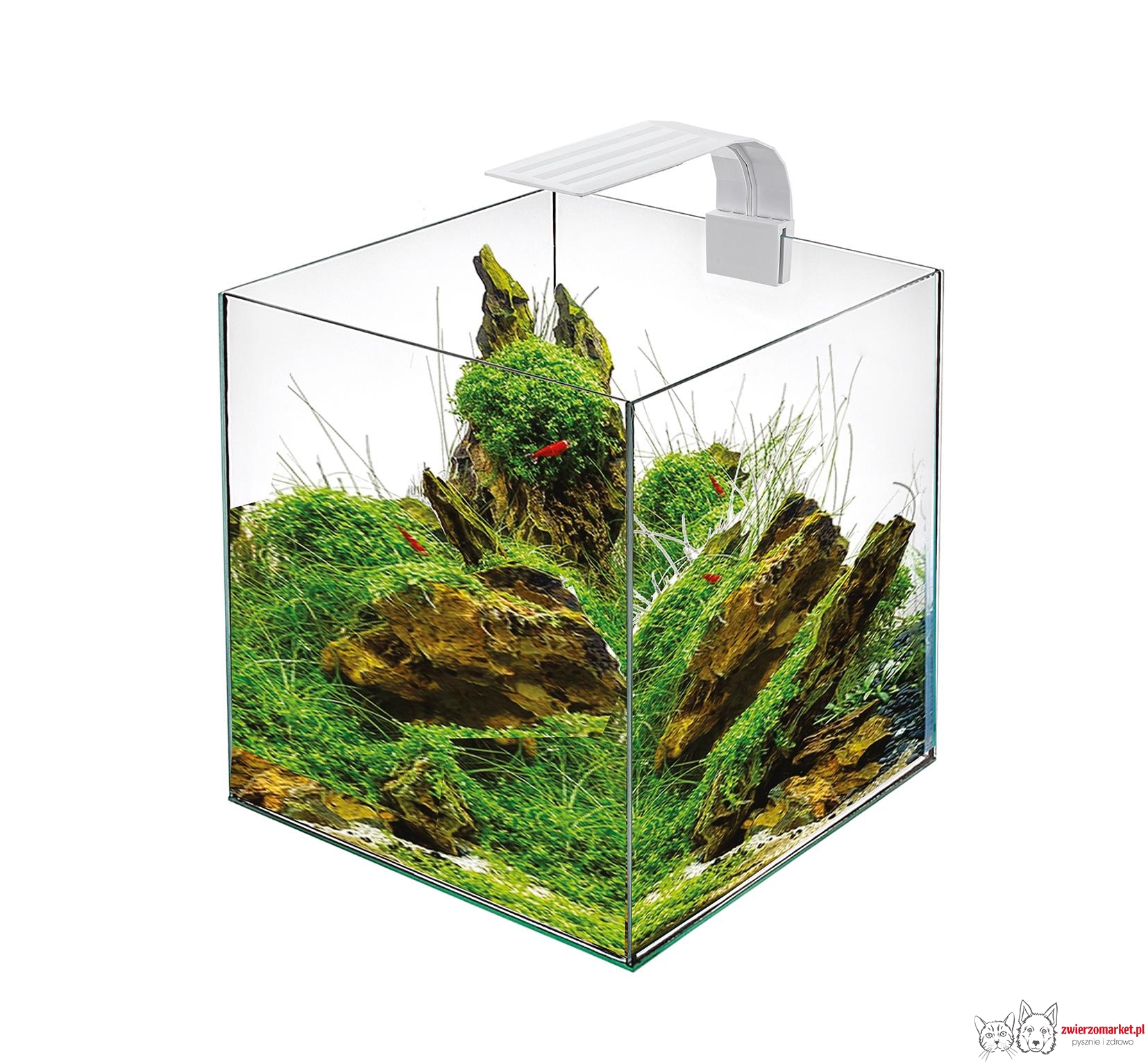LED CUBE 25 White