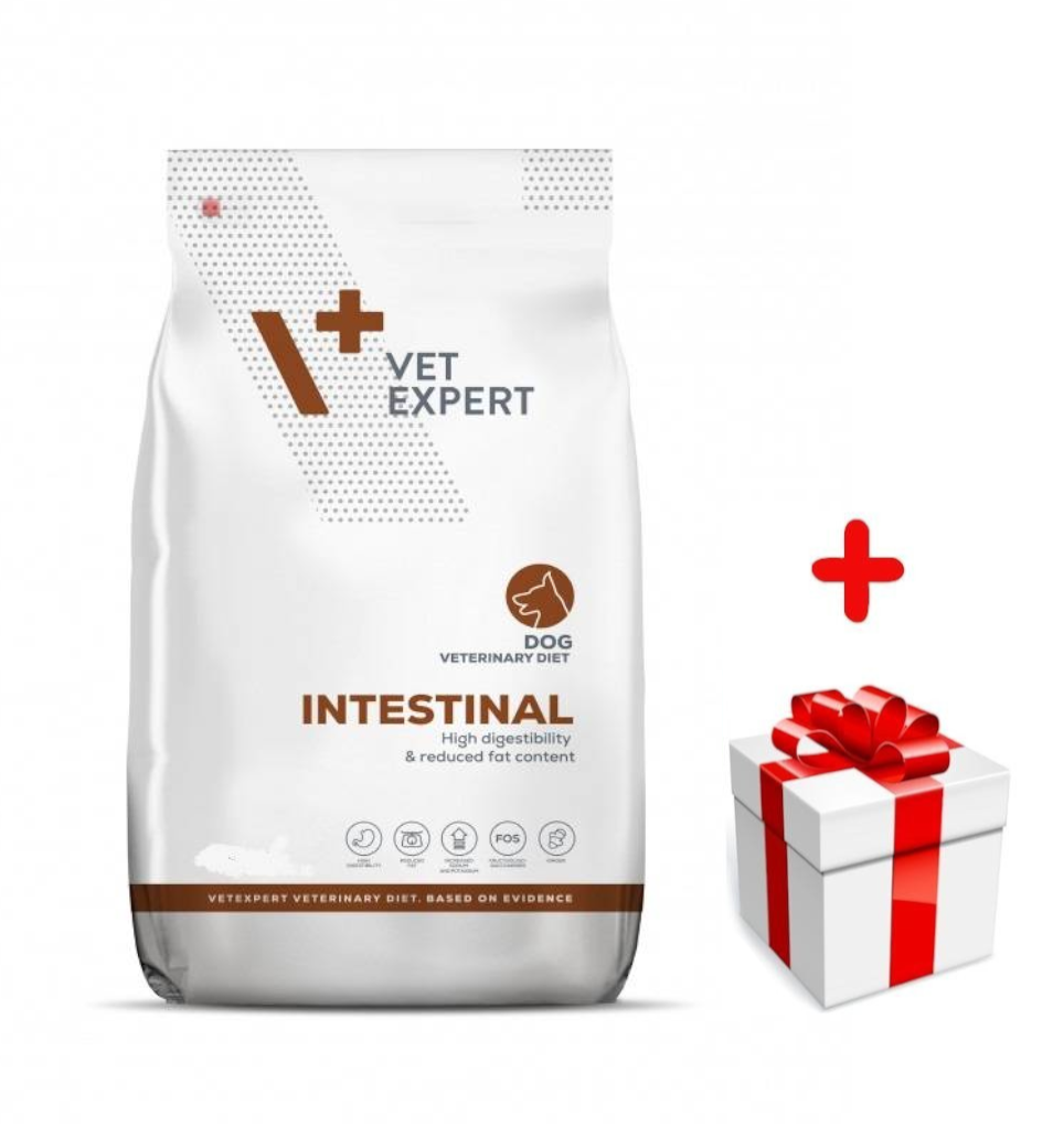 4T Veterinary Diet Dog Intestinal 12kg