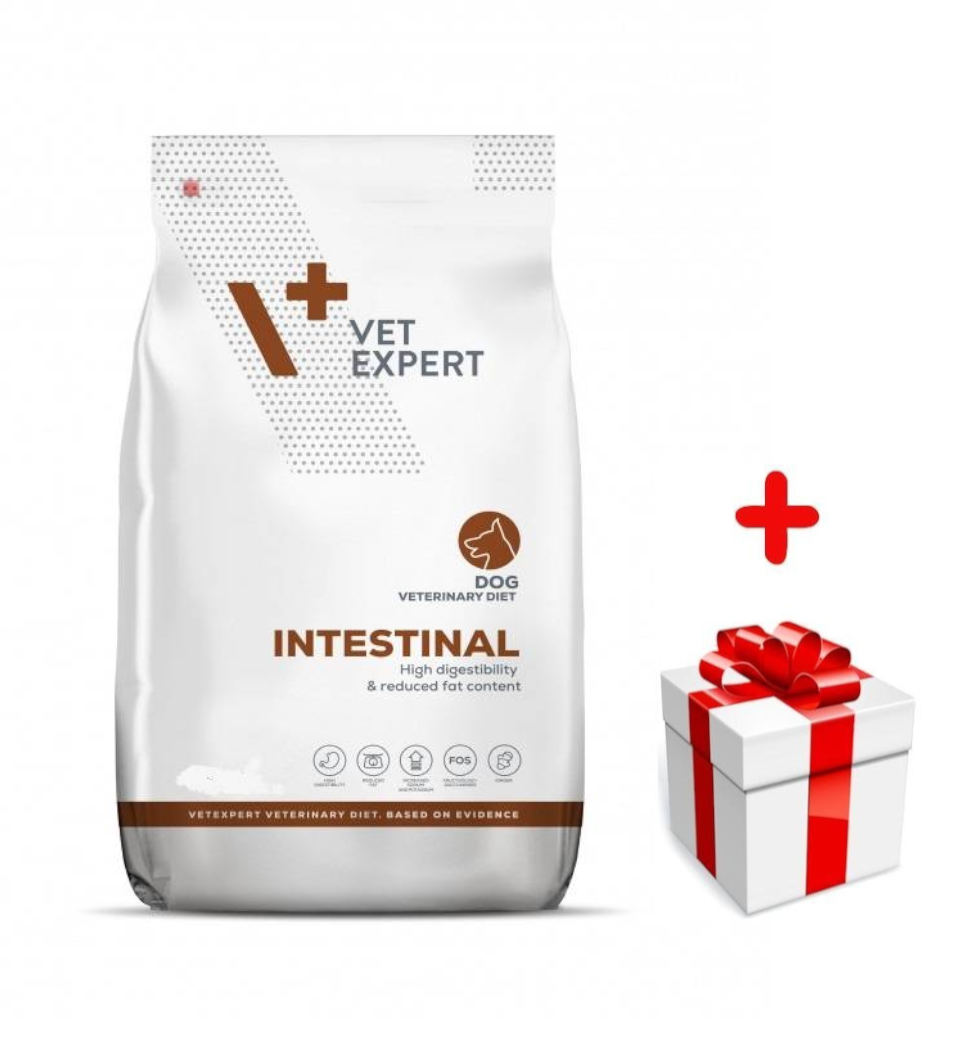 4T Veterinary Diet Dog Intestinal 12kg + niespodzianka dla psa GRATIS!