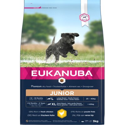 Eukanuba Developing Junior Large Breed kurczak 3 kg