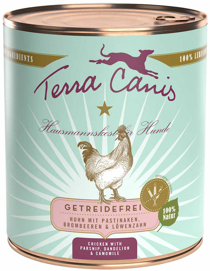Terra Canis bez zbóż, 6 x 800 g - Kurczak z pasternakiem, mniszkiem i jeżynami