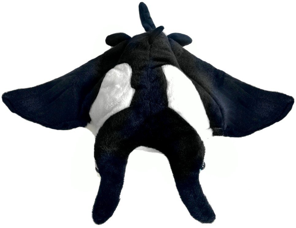 Beppe 13888 Manta Czarno-Biała 41Cm