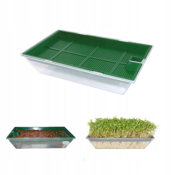 Kiełkownica plastikowa duża