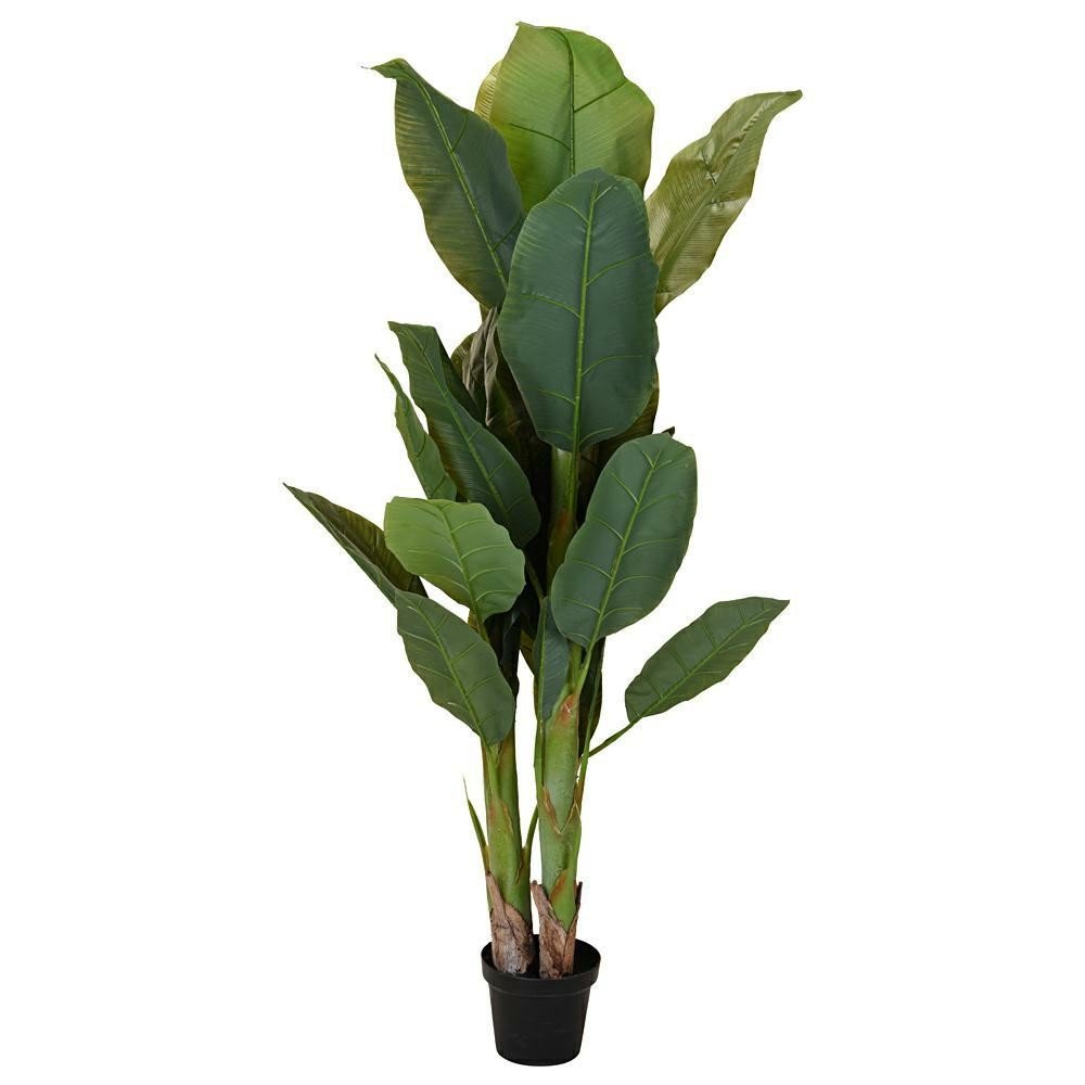 Bananowiec w donicy DEKORACJADOMU.PL, 165 cm