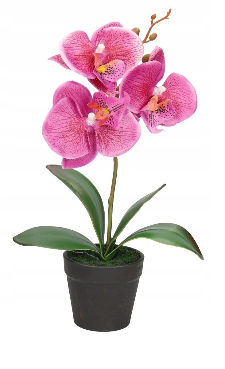 STORCZYK ORCHIDEA SZTUCZNE KWIATY W DONICZCE