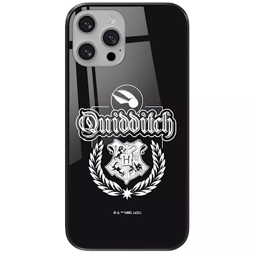 ERT GROUP etui na telefon Apple Iphone 13, case oryginalny i oficjalnie licencjonowany przez Harry Potter, wzór Harry Potter 047, wykonany z hartowanego szkła, etui ochronne