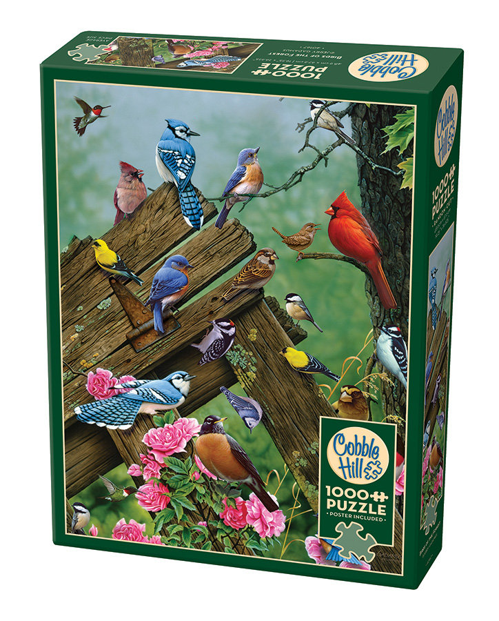 Cobble Hill, Puzzle, Ptaki leśne, 1000 el.