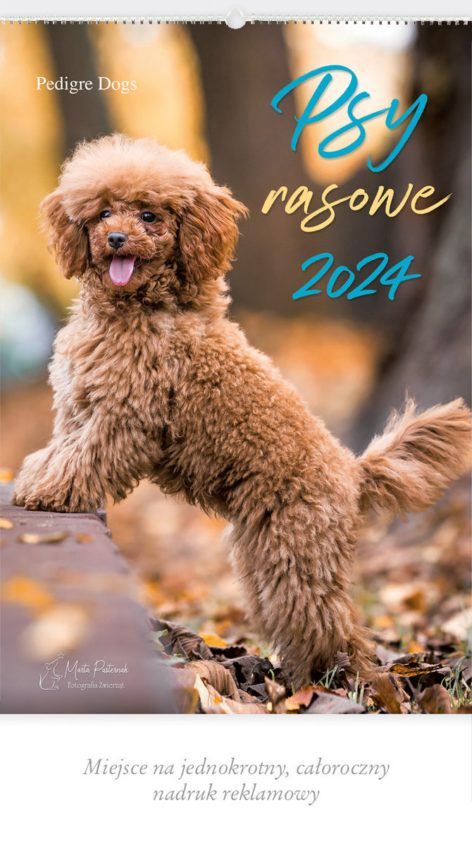 Kalendarz 2024 Reklamowy Psy rasowe