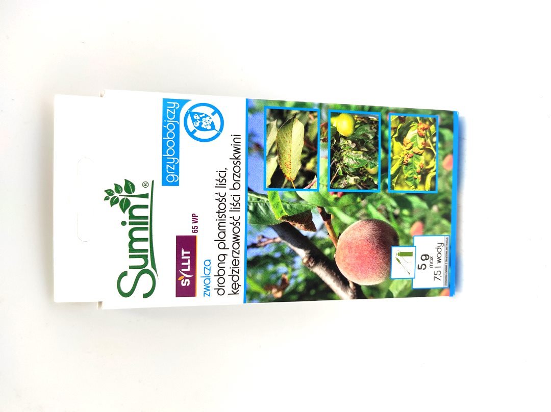 Syllit 65 Wp 5G