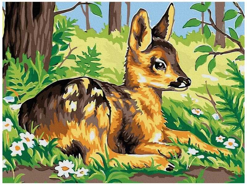 NUMERMOALOWANIE CLASSIC 30X40 SARENKA, IPICASSO