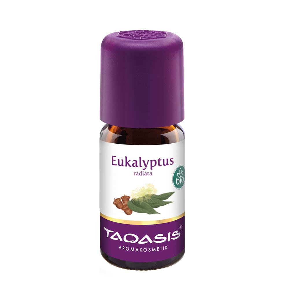 Taoasis TAOASIS Eukalyptus radiata olejek eteryczny eukaliptus radiata 5 ml