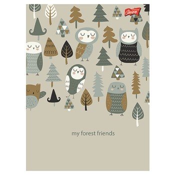 Unipap zeszyt okładka laminowana A5, 32 kartki, linia dwukolorowa NATURE