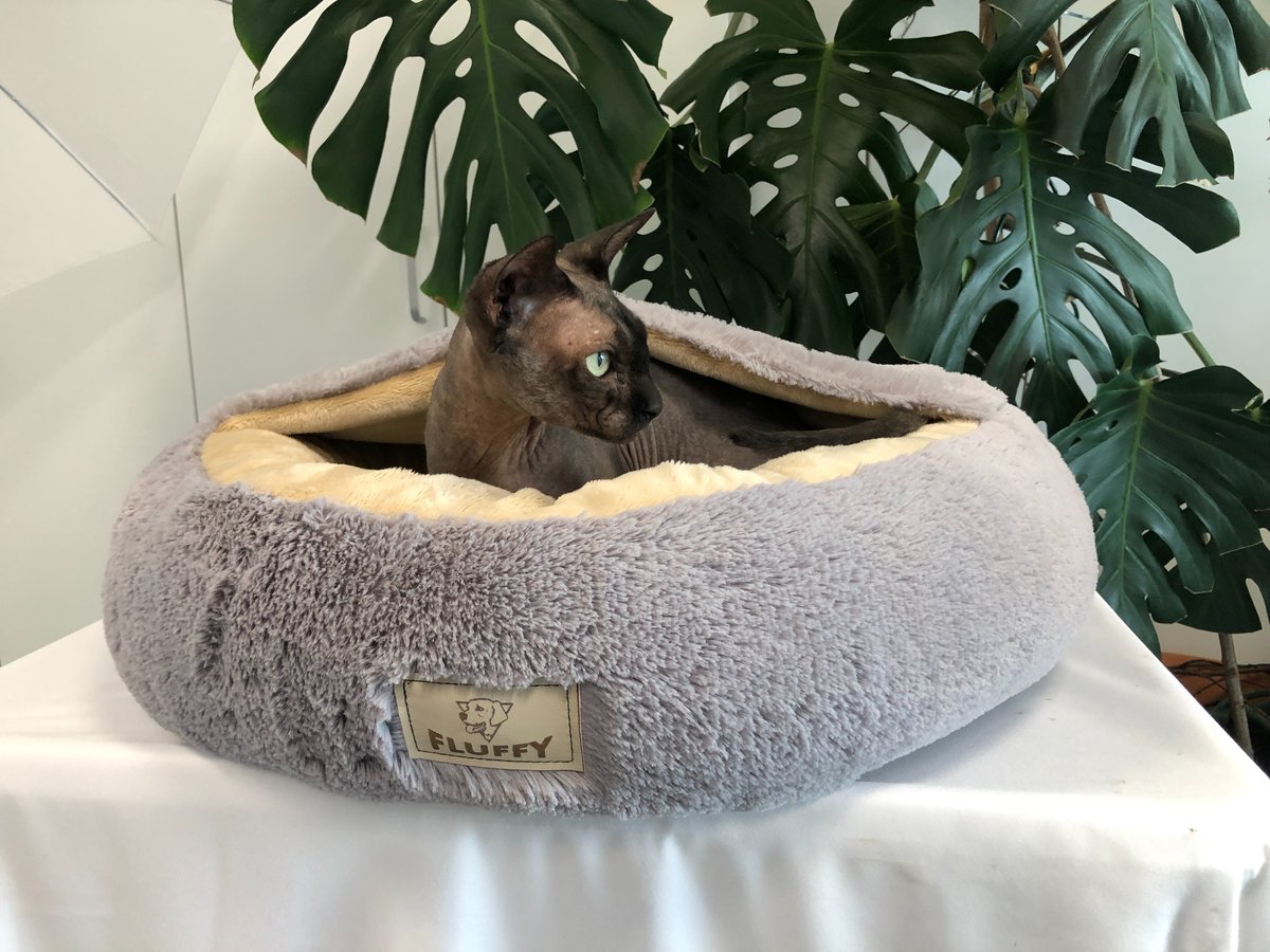 Legowisko Dla Psa Fluffy 60 Cm Jasnoszare