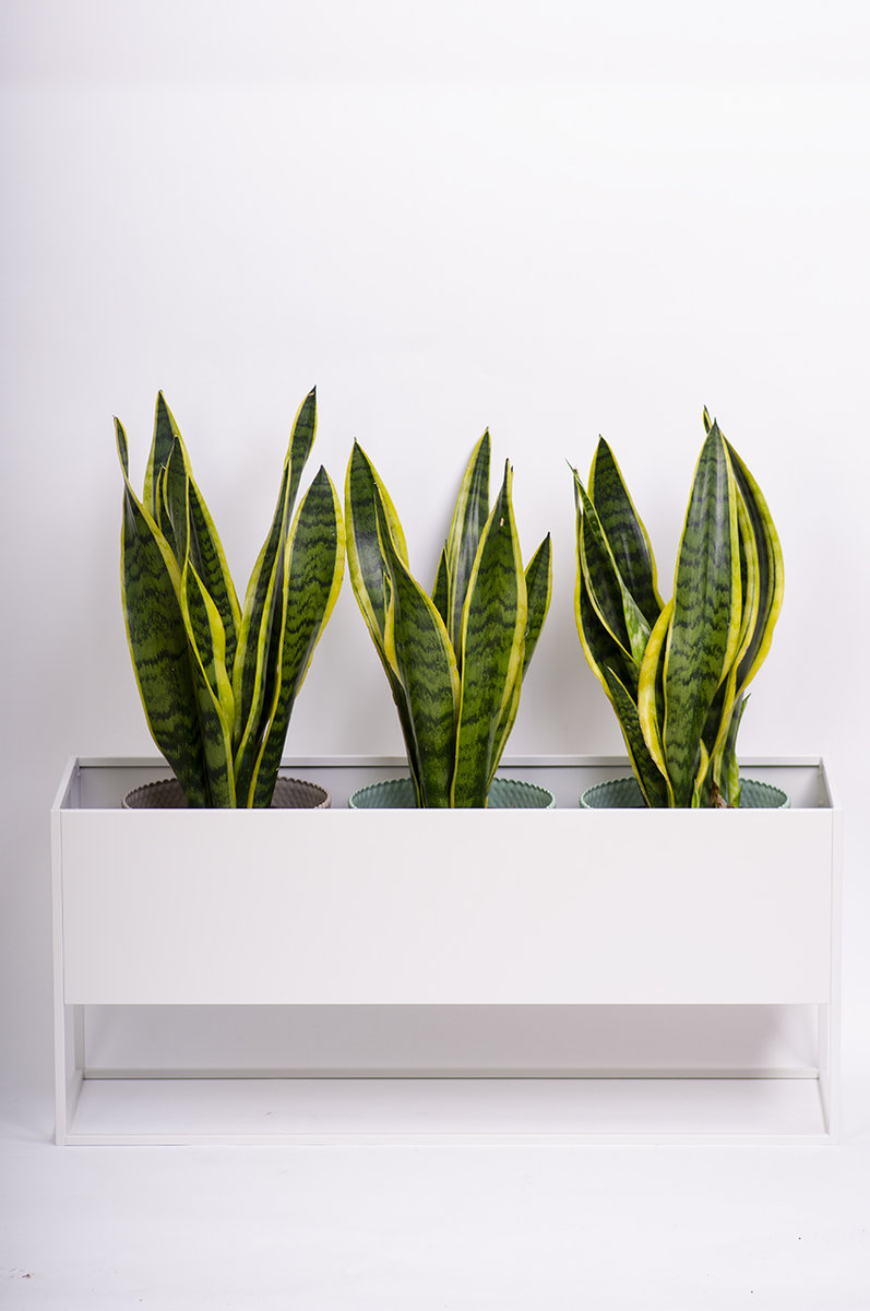 Donica metalowa Rodos X-LONG 35 cm BIAŁA