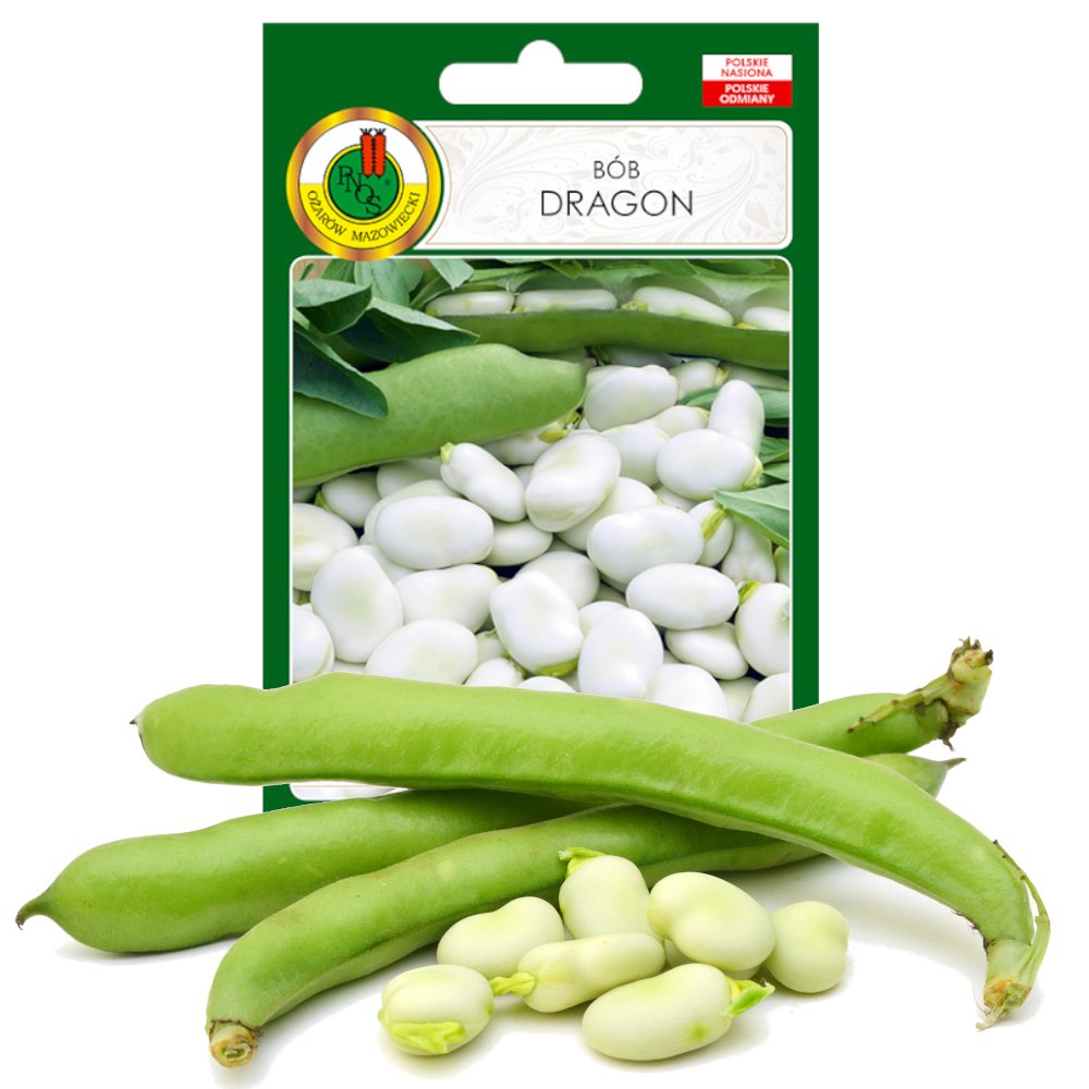 BÓB WCZESNY DRAGON PLENNY NASIONA BEZ GMO