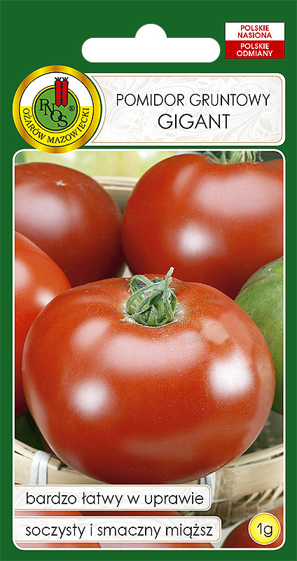 Pomidor Gruntowy Gigant Soczysty Nasiona Bez Gmo