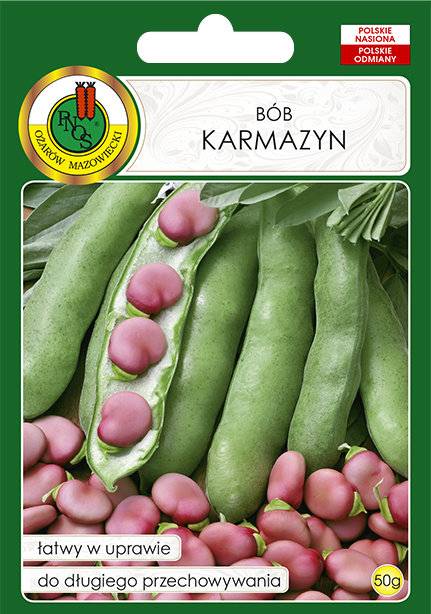 BÓB KARMAZYN DUŻY PLENNY NASIONA BEZ GMO