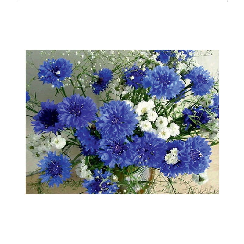 Diamond painting haft diamentowy  - chabry