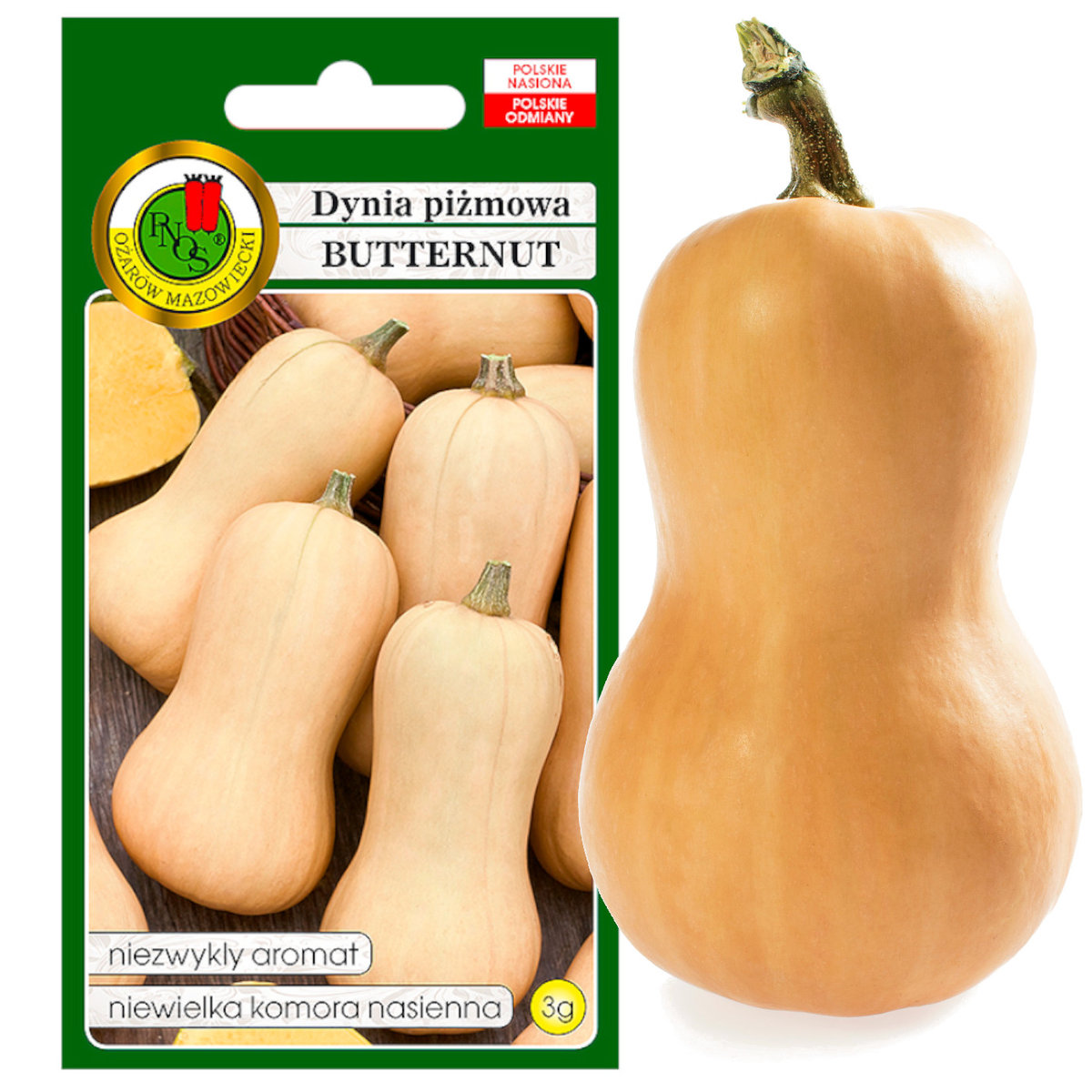 DYNIA PIŻMOWA BUTTERNUT AROMAT NASIONA BEZ GMO 3g