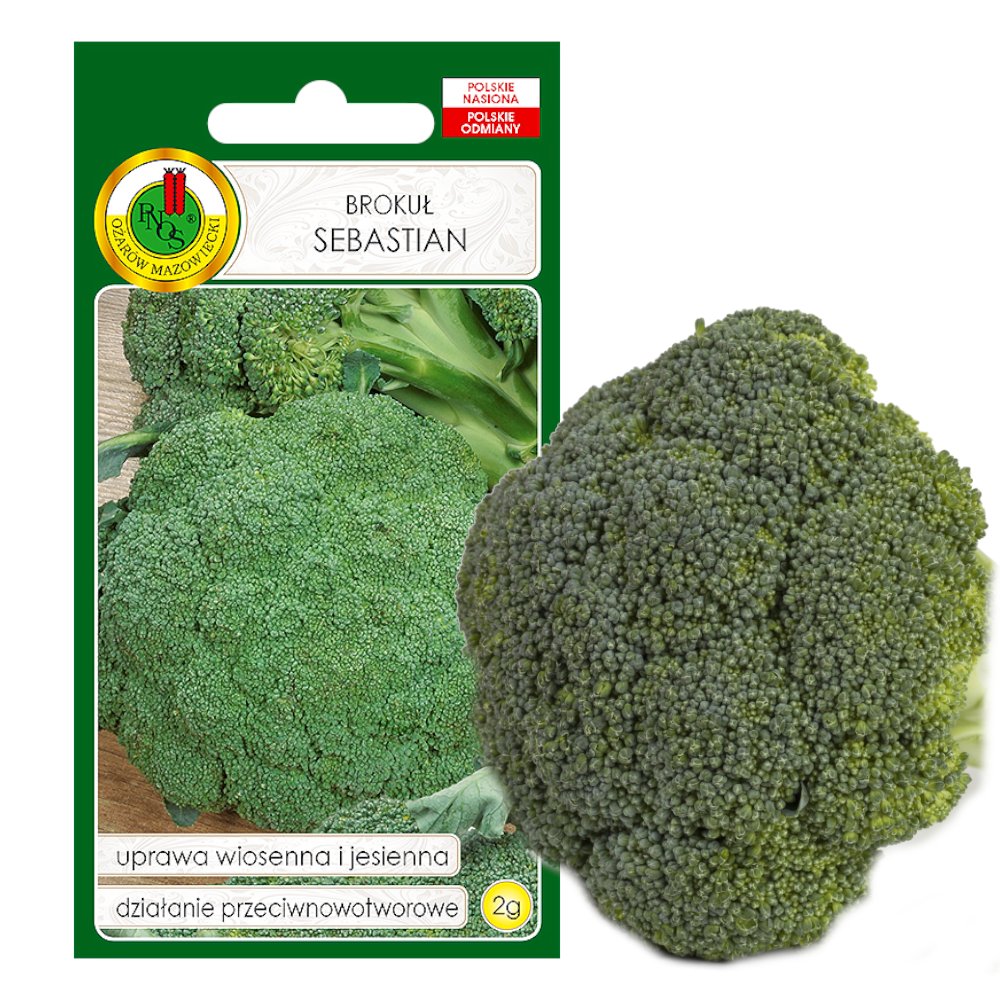 BROKUŁ SEBASTIAN WCZESNY KREMY NASIONA BEZ GMO