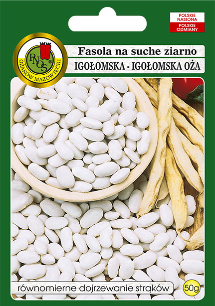 Fasola 'IGOŁOMSKA' odmiana bardzo wczesna Świeże Nasiona Naturalne 50g