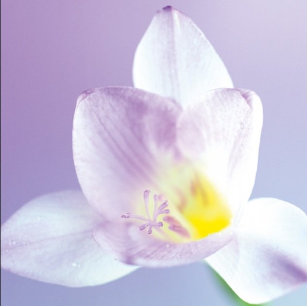 Karnet DaVinci 16x16 cm B2W 202 002 +koperta