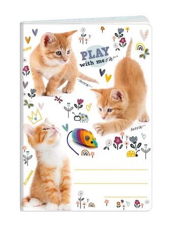 ZESZYT A6 40= CATS ARGUS