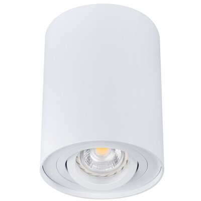 Kanlux Bord Lampa sufitowa 1-punktowa Biały DLP-50-W 22551