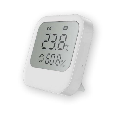 Czujnik temperatury i wilgotności FERGUSON FS2HT-LCD
