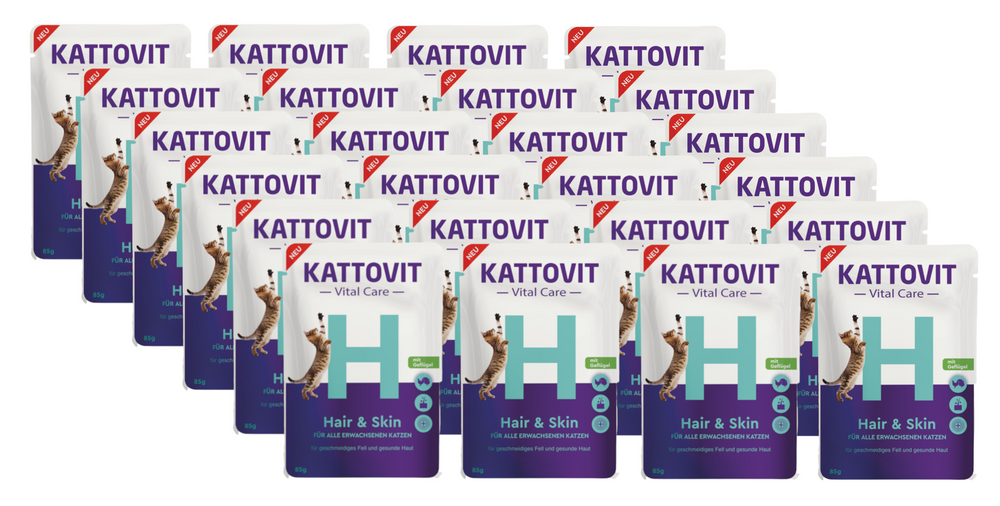 Kattovit Vital Care Hair & Skin 24x85g