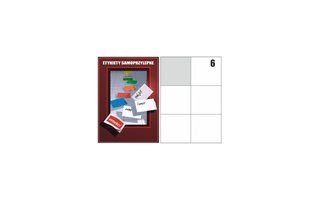 ETYKIETY SAMOPRZYLEPNE A4 100 SZT 105X99 LABELS EP 10599