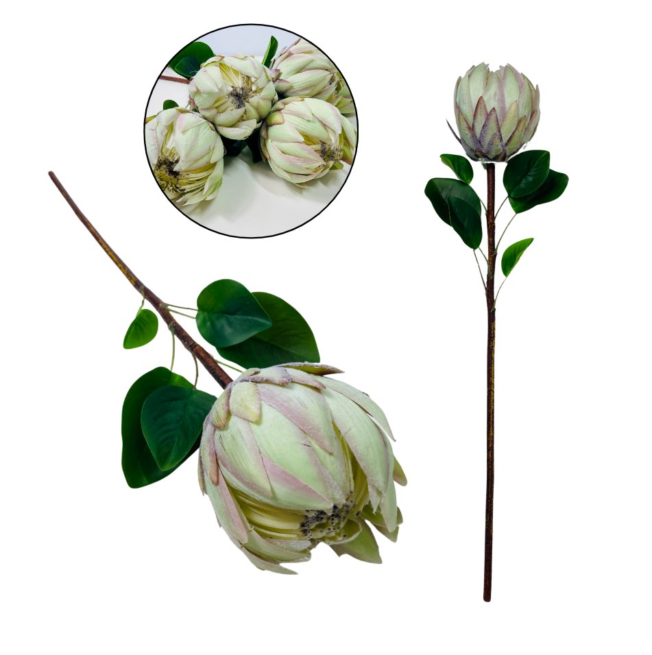 PROTEA SREBRNIK KRÓLEWSKI EGZOTYCZNE SZTUCZNE KWIATY TRAWA PAMAPSOWA DO WAZONÓW TRAWY NA TARAS