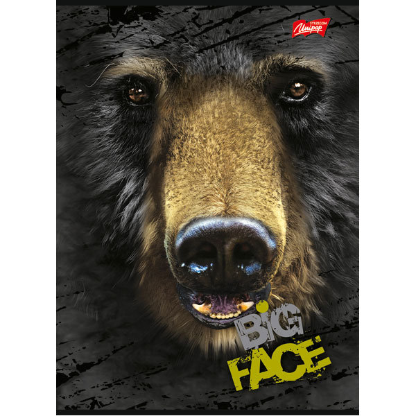 St. Majewski Papier Zeszyt A5 80k. MAJEWSKI The Mountain Big Face kratka laminowany ZS37STR