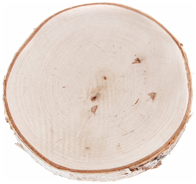 Plaster Drewna, Dp Craft