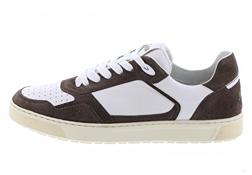 Sioux Tedroso-704, Trampki męskie, Bark/Snow, 43 EU, Bark Snow, 43 EU