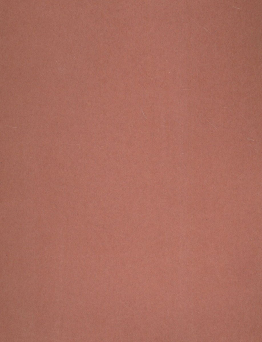 Canson Karton Kolorowy Iris Orzechowy