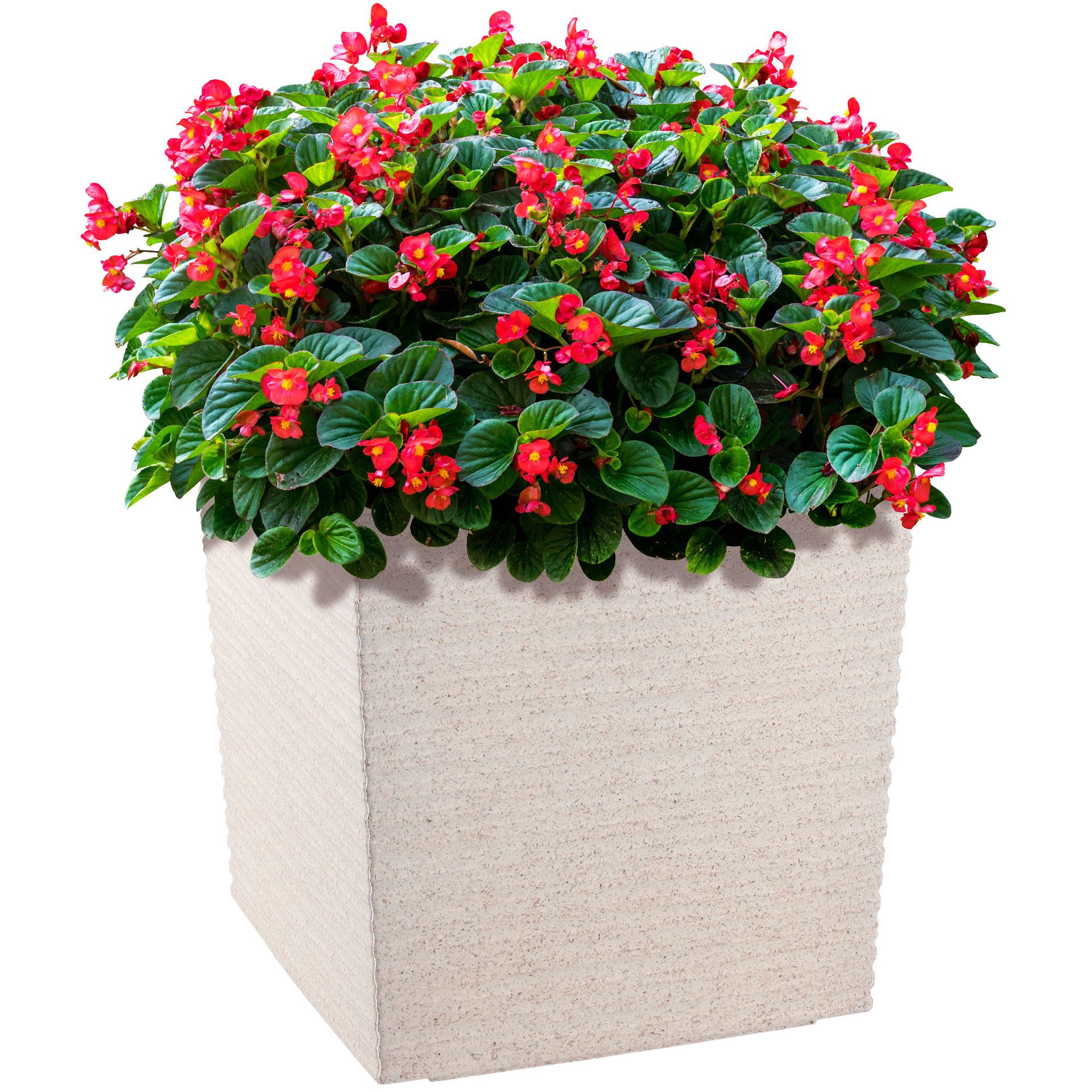 Donica na kwiaty z wkładem dłuto 19 cm, biała