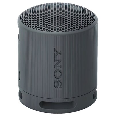 Sony SRS-XB100 Czarny