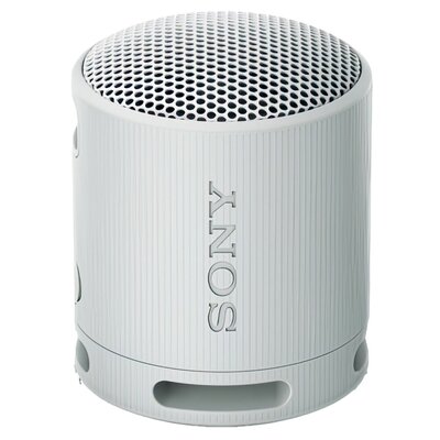Sony SRS-XB100 Szary