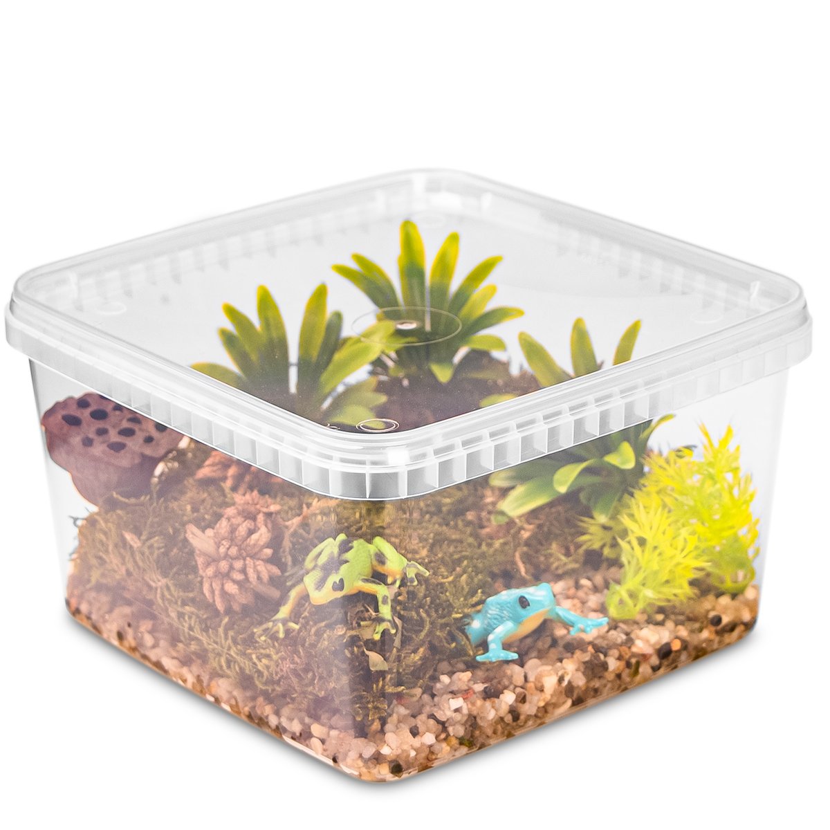 TERRARIO REPTIBOX 19X19X12CM - PRZEŹROCZYSTE TERRARIUM FAUNARIUM