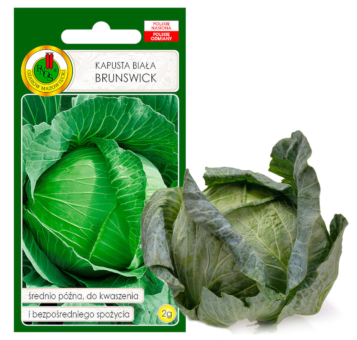 KAPUSTA BIAŁA BRUNSWICK KWASZENIA  NASIONA BEZ GMO