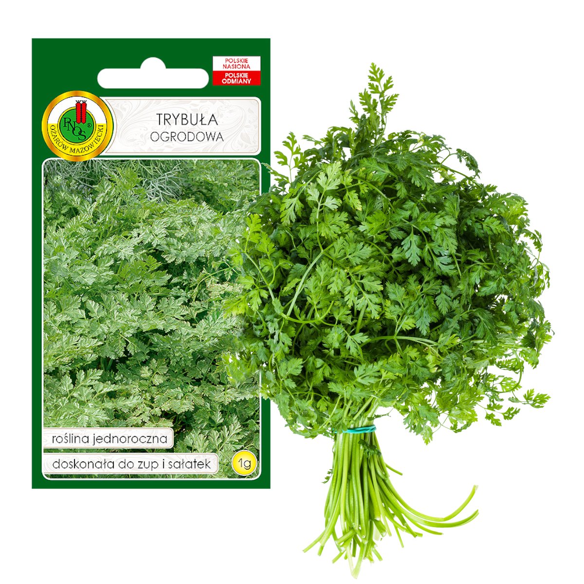 TRYBUŁA OGRODOWA COMMUN ZIOŁA NASIONA ZIÓŁ BEZ GMO